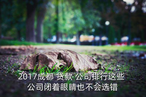 四川金坤小額貸款公司,成都市高新區金坤小額貸款有限公司