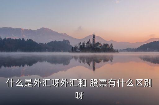 什么是外匯呀外匯和 股票有什么區別呀