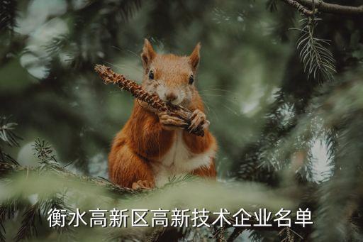 衡水高新區高新技術企業名單