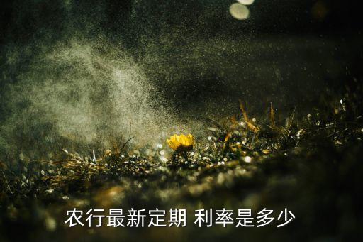農行最新定期 利率是多少