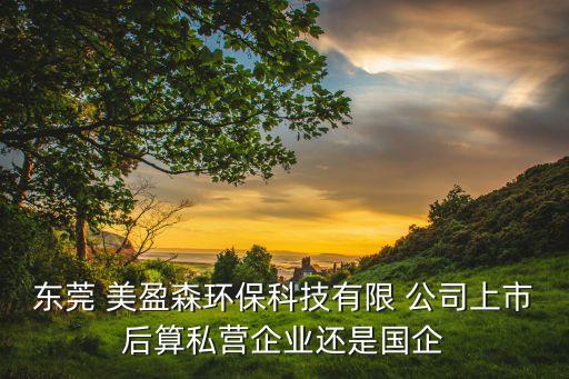 東莞 美盈森環保科技有限 公司上市后算私營企業還是國企