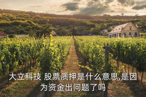 大立科技 股票質押是什么意思,是因為資金出問題了嗎