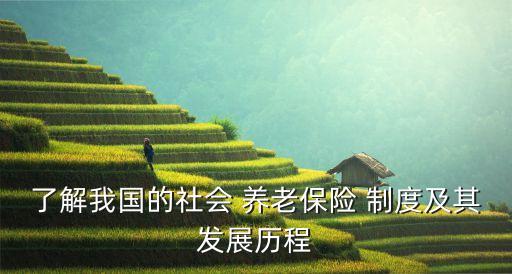 中國城鄉養老制度并軌,公務員養老,制度并軌不是平均主義
