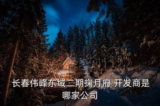  長春偉峰東域二期掬月府 開發商是哪家公司