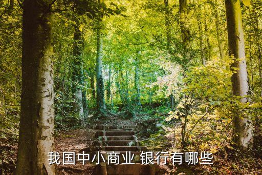 我國中小商業 銀行有哪些
