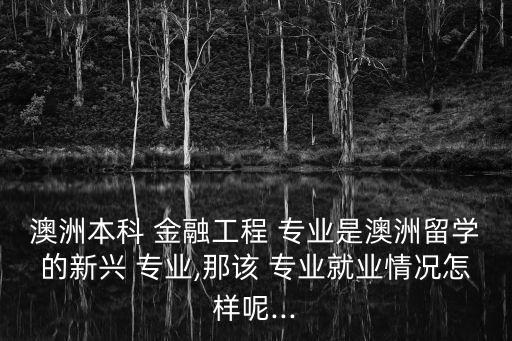 澳大利亞銀行與金融專業