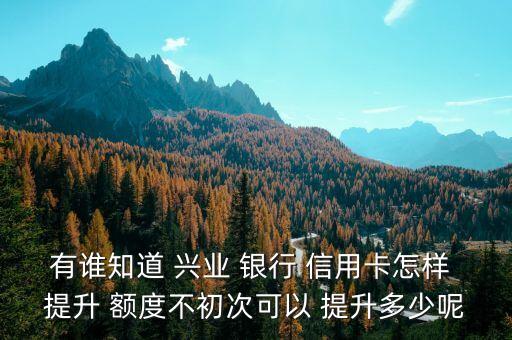 興業銀行信用卡提升額度