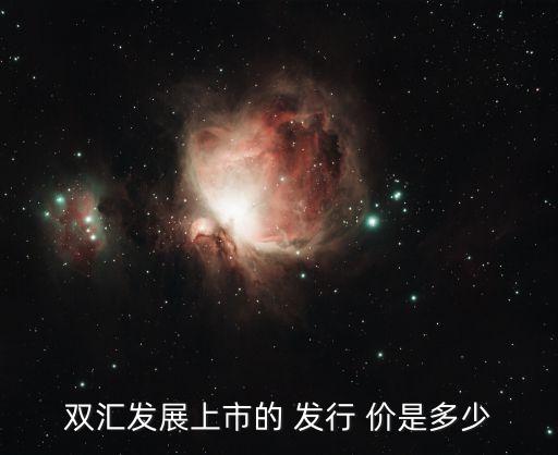 雙匯發展上市的 發行 價是多少