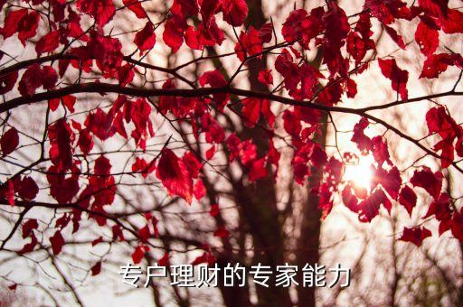  專戶理財的專家能力