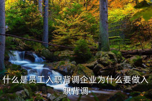 什么是員工入職背調企業為什么要做入職背調