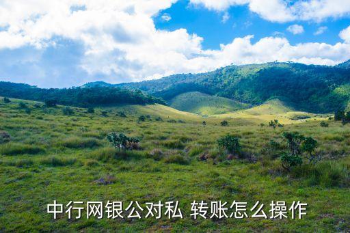  中行網銀公對私 轉賬怎么操作