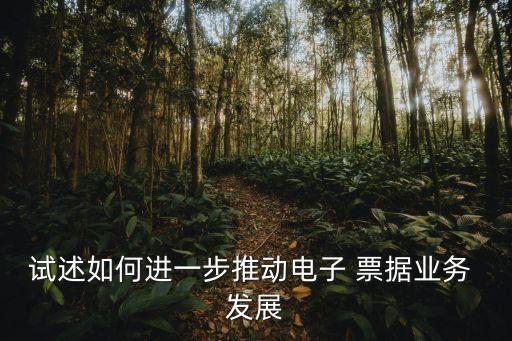 中國票據市場的發展及其法律保障研究
