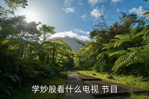 股票的節目,股票節目主持人劉賀 女主持人