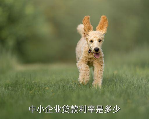 中小企業貸款利率是多少