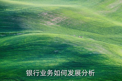商業銀行分業經營優缺點,中國商業銀行是分業經營還是混業經營