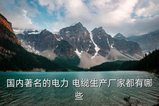 國內著名的電力 電纜生產廠家都有哪些