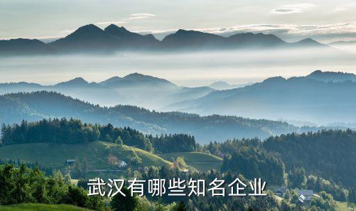 武漢有哪些知名企業