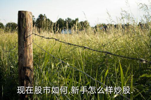 麗江旅游股票最新指數,002033麗江旅游股票