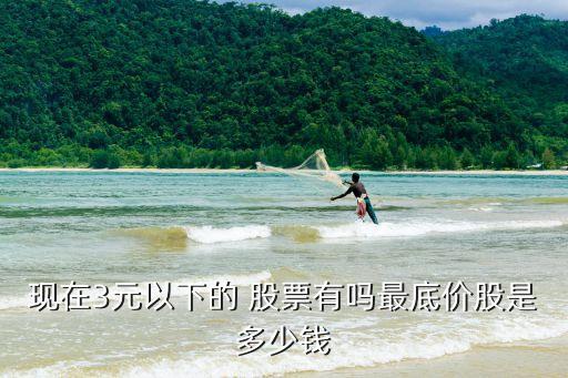 現在3元以下的 股票有嗎最底價股是多少錢