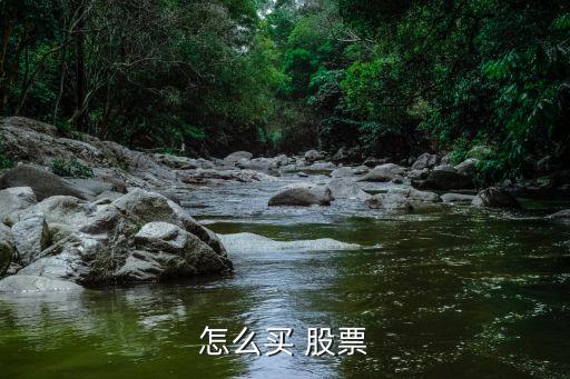 怎么買(mǎi) 股票