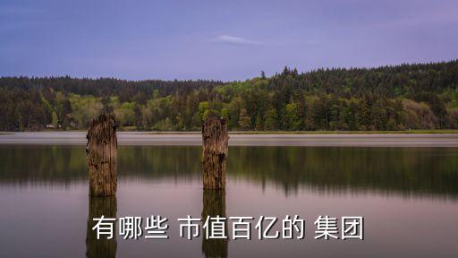 九好集團市值,內蒙古九鵬集團市值多少億