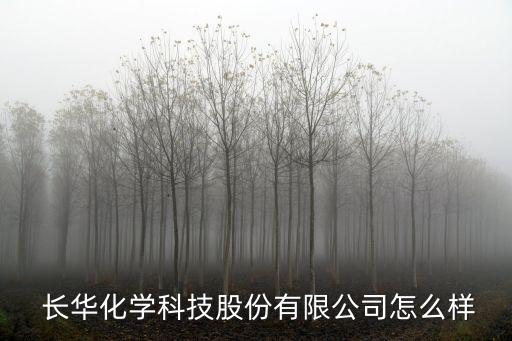 廣東長華投資集團總經理,廣東南粵交通投資集團總經理