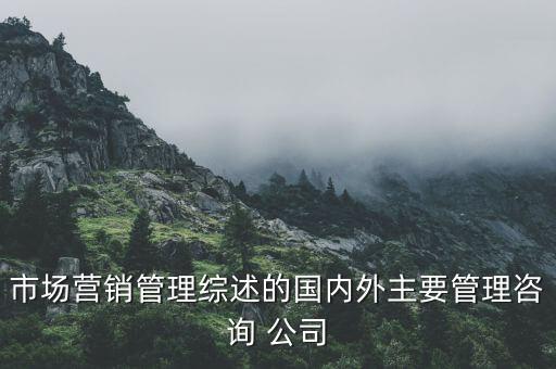市場營銷管理綜述的國內外主要管理咨詢 公司