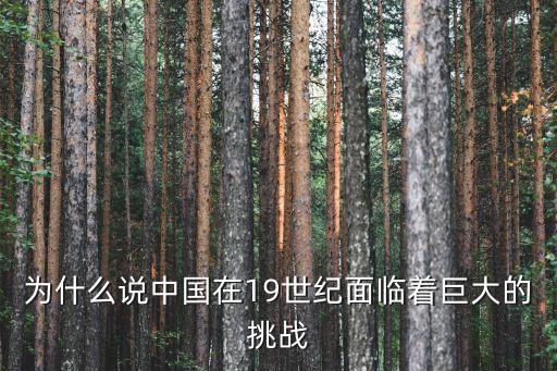 為什么說中國在19世紀面臨著巨大的挑戰