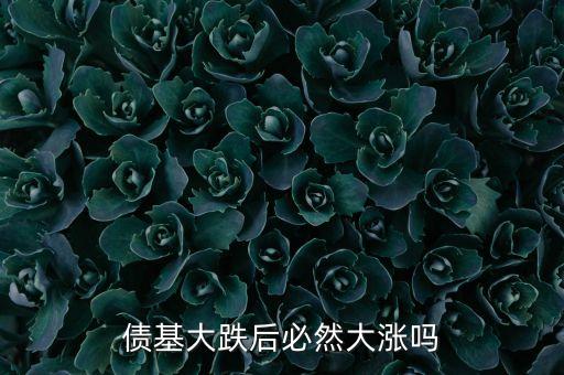 政府公債基金,政府發行公債數量的多少,一般取決于