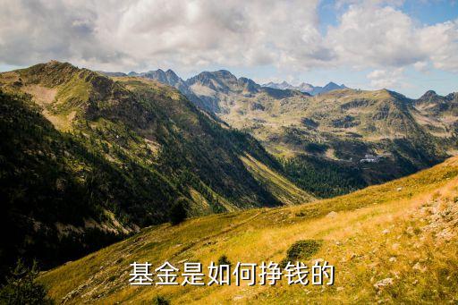 上市銀行代理基金收入,哪個銀行的基金是穩定收入的