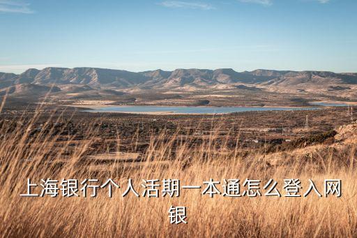  上海銀行個人活期一本通怎么登入網銀