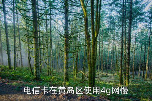 電信卡在黃島區使用4g網慢