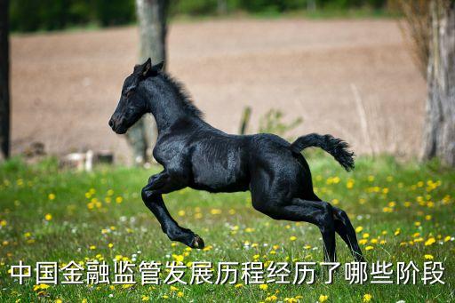 中國金融監管發展歷程經歷了哪些階段