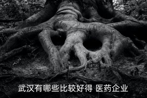 武漢有哪些比較好得 醫藥企業