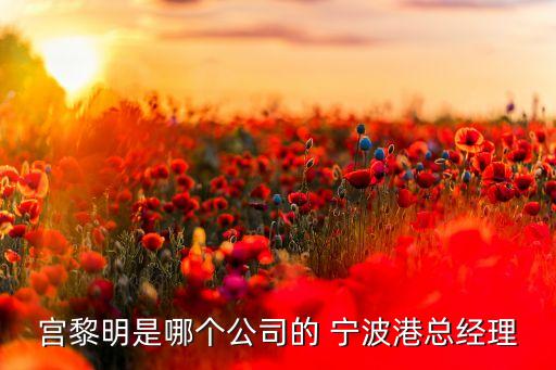 宮黎明是哪個公司的 寧波港總經理