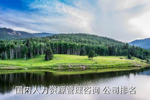 國內人力資源管理咨詢 公司排名