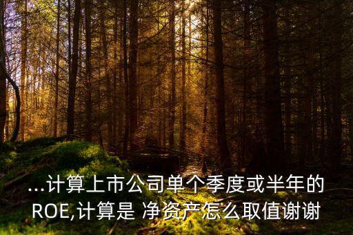 中國證券行業凈資產收益率