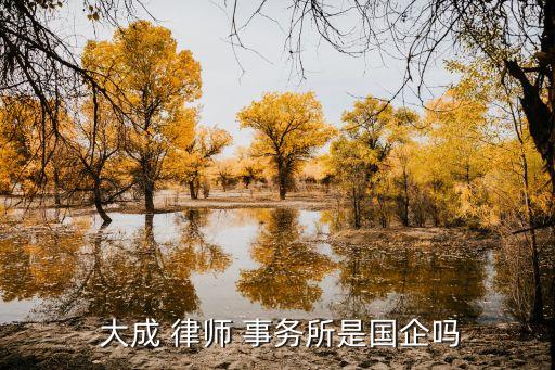  大成 律師 事務所是國企嗎