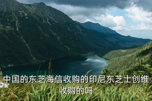 中國的東芝海信收購的印尼東芝士創維收購的嗎