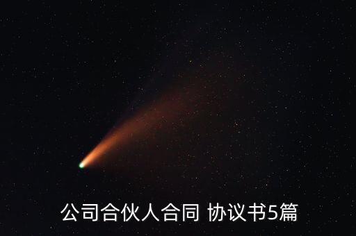  公司合伙人合同 協議書5篇