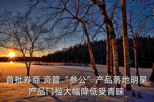 首批券商 資管“參公”產品落地明星產品門檻大幅降低受青睞