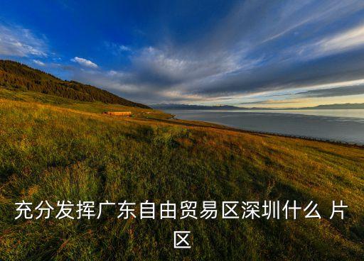 中國片區