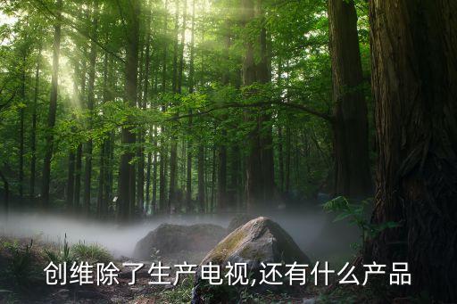 創維集團2015年報