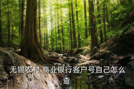 無錫農業商業銀行,農村商業銀行客服電話24小時人工服務武漢