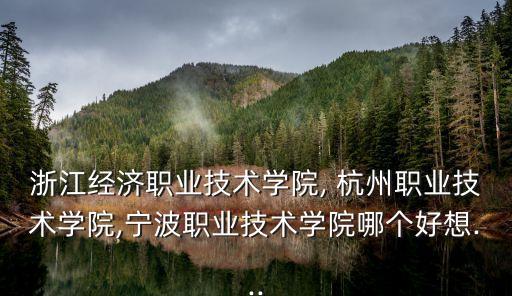 浙江經濟職業技術學院, 杭州職業技術學院,寧波職業技術學院哪個好想...