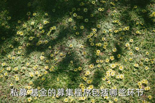 私募 基金的募集程序包括哪些環節