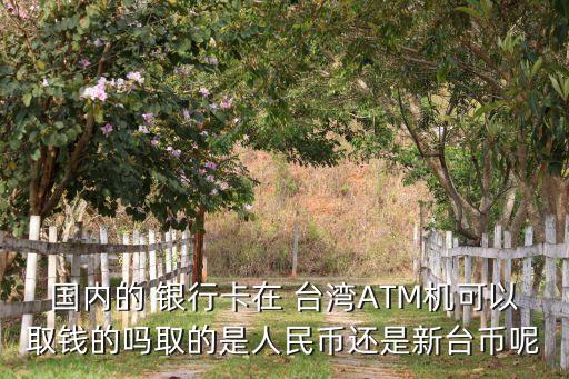 國內的 銀行卡在 臺灣ATM機可以取錢的嗎取的是人民幣還是新臺幣呢
