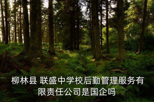  柳林縣 聯(lián)盛中學(xué)校后勤管理服務(wù)有限責任公司是國企嗎