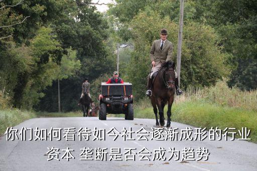 你們如何看待如今社會逐漸成形的行業資本 壟斷是否會成為趨勢
