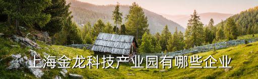  上海金龍科技產業園有哪些企業